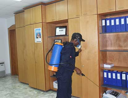Pest control and Fumigation Services in Nairobi Kenya