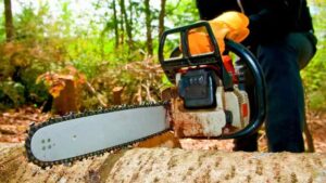 Tree Felling Services In Nairobi Kenya