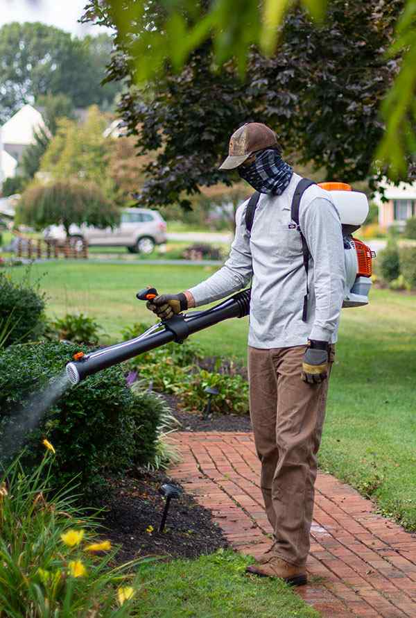 Mosquito Control services in Nairobi Kenya