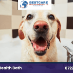 dog medicated bathing nairobi kenya mobile groomers and grooming services