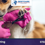 dog nails cutting nairobi kenya grooming groomers