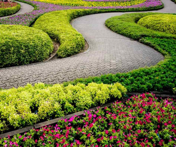 0722566999 › Integrated Facilities Management Services in Nairobi, Kenya 11 Landscaping